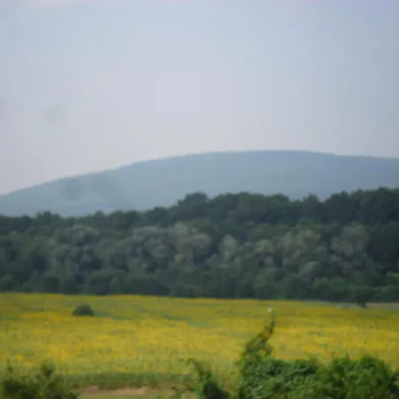 Ankor מלון