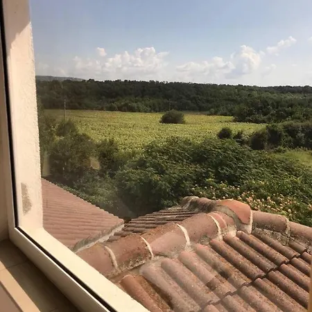 Ankor 2* Кранево